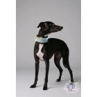 Aqua AB Luxury Martingale Dog Collar with rhinestones - Rhinestone Bling Dog Collar