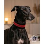 Red Luxury Martingale Dog Collar with rhinestones - Rhinestone Bling Dog Collar