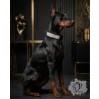Crystal Luxury Martingale Dog Collar with rhinestones - Rhinestone Bling Dog Collar