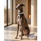Crystal Luxury Martingale Dog Collar with rhinestones - Rhinestone Bling Dog Collar