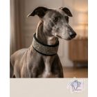 Grey Luxury Martingale Dog Collar with rhinestones - Rhinestone Bling Dog Collar
