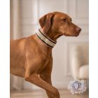 Camel Luxury Martingale Dog Collar with rhinestones - Rhinestone Bling Dog Collar
