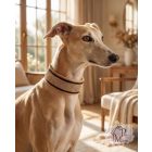 Camel Luxury Martingale Dog Collar with rhinestones - Rhinestone Bling Dog Collar
