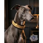 Gold Luxury Martingale Dog Collar with rhinestones - Rhinestone Bling Dog Collar 