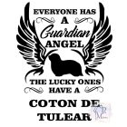 Coton de Tuléar T-shirt - Coton de Tuléar Shirt