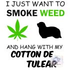 Coton de Tuléar T-shirt - Coton de Tuléar Shirt