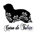 Coton de Tuléar T-shirt - Coton de Tuléar Shirt