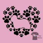 Coton de Tuléar T-shirt - Coton de Tuléar Shirt
