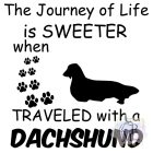 Dachshund T-shirt - Dachshund Shirt