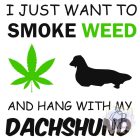 Dachshund T-shirt - Dachshund Shirt