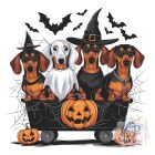 Halloween Dachshund T-shirt - Dachshund Shirt