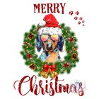 Christmas Dachshund T-shirt - Dachshund Shirt