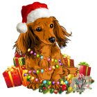 Christmas Dachshund T-shirt - Dachshund Shirt