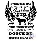 Dogue de Bordeaux T-shirt - Dogue de Bordeaux Shirt