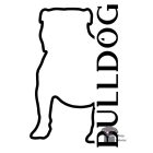 English Bulldog T-shirt - Bulldog Shirt / Hoodie