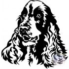 English Cocker Spaniel T-shirt - English Cocker Spaniel Shirt