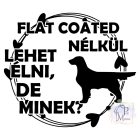 Flat Coated Retriever T-shirt - Flat Coated Retriever Shirt