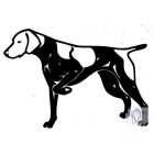 German Pointer T-shirt - German Pointer Shirt