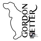 Gordon Setter T-shirt - Gordon Setter Shirt