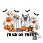 Halloween Trick or Treat  T-shirt - Halloween Shirt