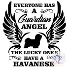 Havanese T-shirt - Havanese Shirt