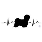 Havanese T-shirt - Havanese Shirt