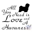 Havanese T-shirt - Havanese Shirt