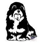 Havanese T-shirt - Havanese Shirt