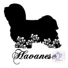 Havanese T-shirt - Havanese Shirt
