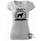 Hovawart T-shirt - Hovawart Shirt / Hoodie