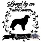 Hovawart T-shirt - Hovawart Shirt / Hoodie