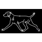 Hungarian Vizsla Rhinestone T-shirt - Hungarian Vizsla Crystal Shirt