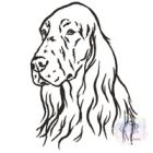 Irish Setter T-shirt - Irish Setter Shirt