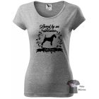 Irish Terrier T-shirt - Irish Terrier Shirt