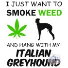 Italian Greyhound T-shirt - Italian Greyhound Shirt