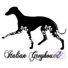 Italian Greyhound T-shirt - Italian Greyhound Shirt