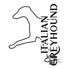Italian Greyhound T-shirt - Italian Greyhound Shirt