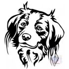 Kooikerhondje T-shirt - Kooikerhondje Shirt