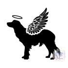 Kooikerhondje T-shirt - Kooikerhondje Shirt