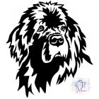 Newfoundland T-shirt - Newfoundland Shirt