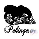 Pekingese T-shirt - Pekingese Shirt
