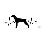 Pointer T-shirt - Pointer Shirt