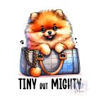 Pomeranian T-shirt - Pomeranian Shirt