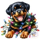 Christmas Rottweiler T-shirt - Rottweiler Shirt