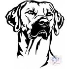 Rhodesian Ridgeback T-shirt - Rhodesian Ridgeback Shirt