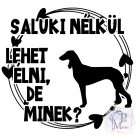 Saluki T-shirt - Saluki Shirt