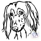 Saluki T-shirt - Saluki Shirt