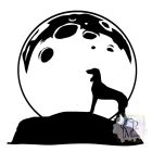 Saluki T-shirt - Saluki Shirt