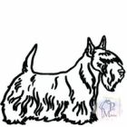 Scottish Terrier T-shirt - Scottie Shirt