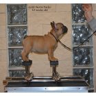 Show Stacker dog trainer - Free stancking trainer - Happy legs